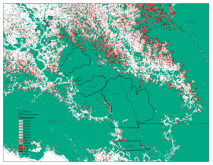 Mostrar un mapa de ejemplo de lo que las personas pueden crear al tomas el curso, en este caso de deforestacion en la Amazonia colombiana