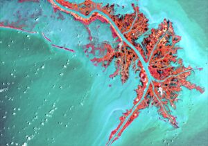Un mapa de ejemplo de lo que las personas pueden crear al tomar el curso, en este caso una imagen satelital de un Delta